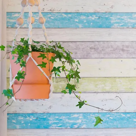 アパート ホーム スウィート プライア ナザレ