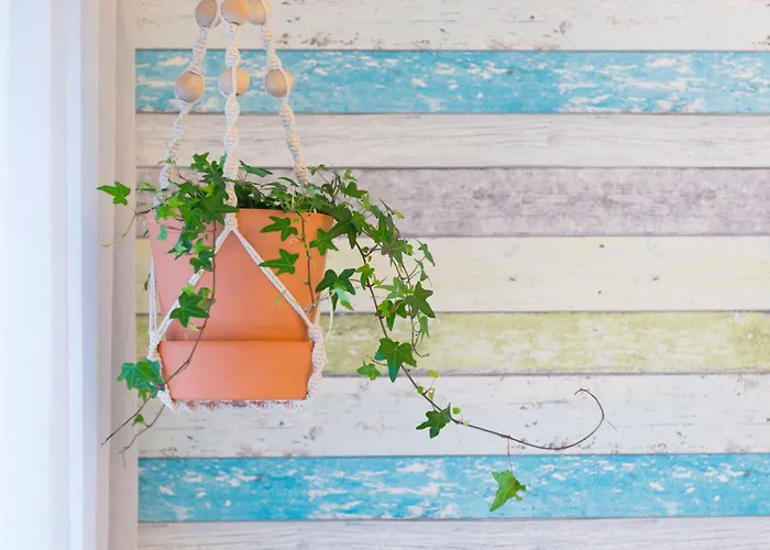 Apartamento Sweet Nazaré